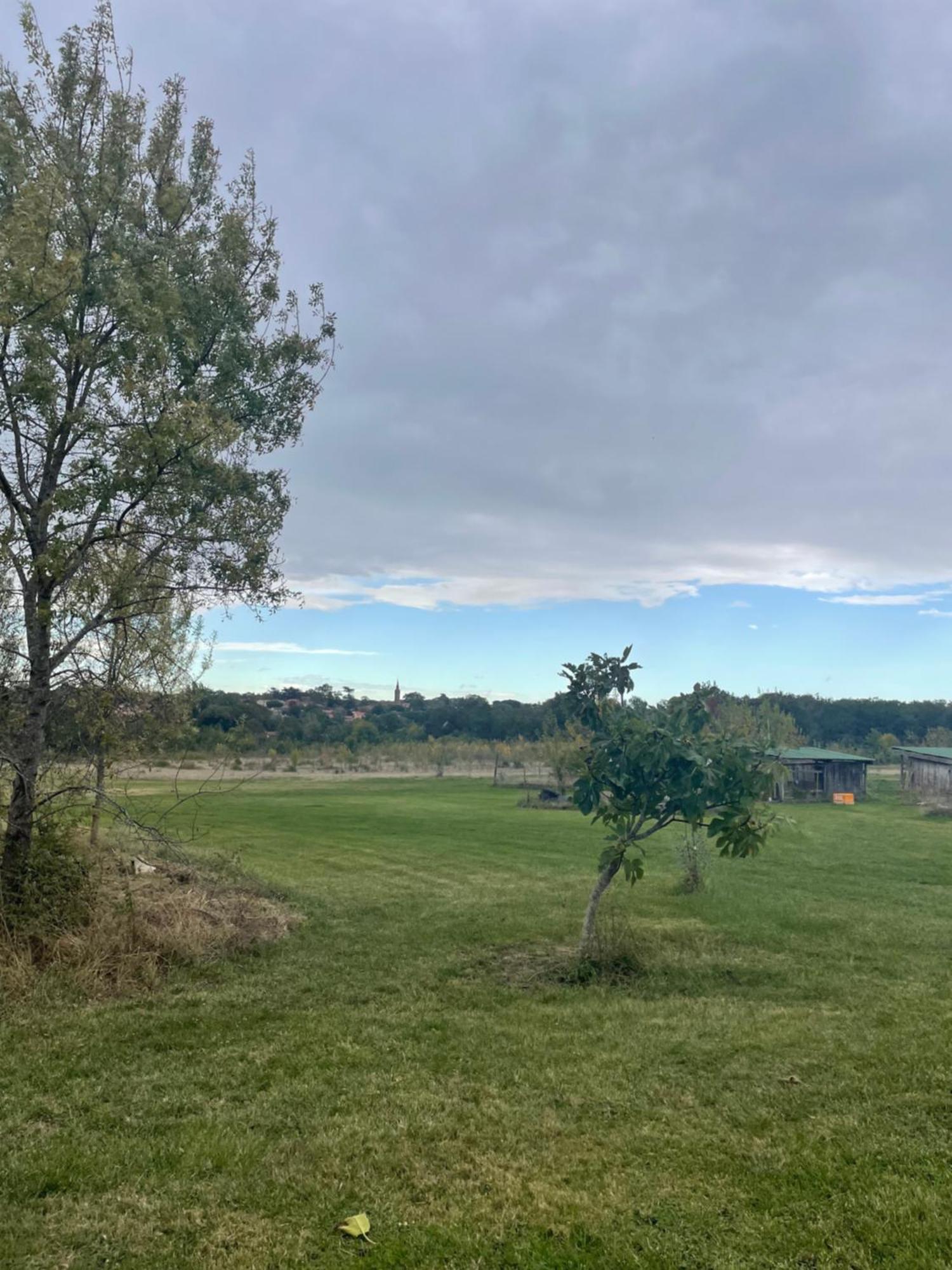 Les Chambres Du Pays Toulousain Pechbonnieu Exteriér fotografie